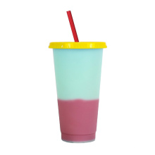 Custom Color Changing Cup Reusable Plastic Skinny Tumbler Plastic Cup With Straw